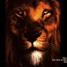 Lion of Judah